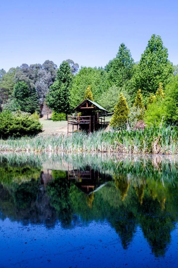 Meadow Lane Country Cottages Ундерберг Экстерьер фото